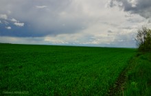 Памятники курсантам РАУ в хуторе Каменный Брод.