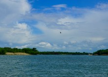 Дон ветреным майским днем.