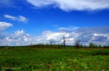 Междуречье Тузлова и Большого Несветая у хутора Каменный Брод