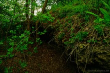 Обрывы известняка-ракушечника в балке Сафьяновой