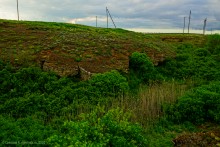 Обрывы известняка-ракушечника в балке Сафьяновой