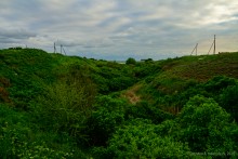 Обрывы известняка-ракушечника в балке Сафьяновой