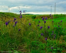 Обрывы известняка-ракушечника в балке Сафьяновой