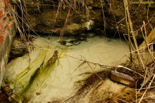 Обрывы известняка-ракушечника в балке Сафьяновой