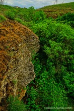 Обрывы известняка-ракушечника в балке Сафьяновой