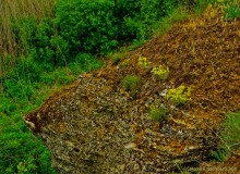 Обрывы известняка-ракушечника в балке Сафьяновой