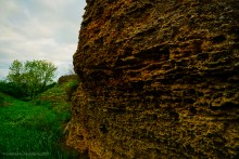 Обрывы известняка-ракушечника в балке Сафьяновой