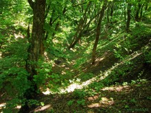 Мухина балка в Аксае