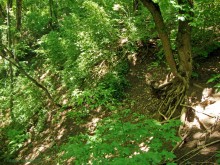 Мухина балка в Аксае