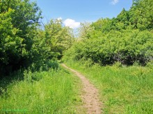 Мухина балка в Аксае