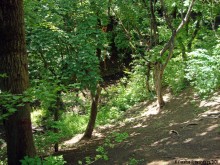 Мухина балка в Аксае