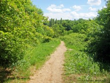 Мухина балка в Аксае