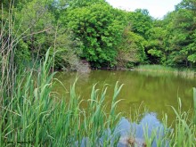 Мухина балка в Аксае