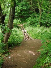 Мухина балка в Аксае