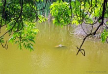 Мухина балка в Аксае