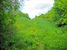 Мухина балка в Аксае