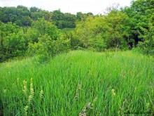 Мухина балка в Аксае