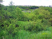 Мухина балка в Аксае