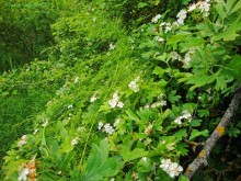 Мухина балка в Аксае