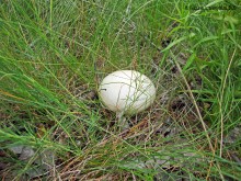 Мухина балка в Аксае