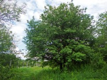 Мухина балка в Аксае