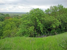 Мухина балка в Аксае