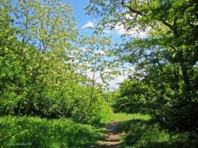 Мухина балка в Аксае