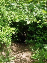 Мухина балка в Аксае