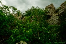 Грядные горы Две сестры на Северском Донце