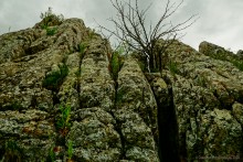 Грядные горы Две сестры на Северском Донце