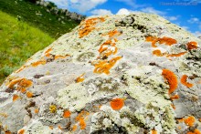 Грядные горы Две сестры на Северском Донце