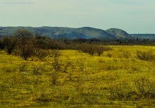 Грядные горы Две сестры на Северском Донце