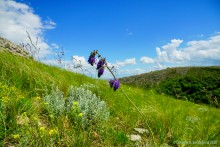 Грядные горы Две сестры на Северском Донце