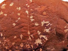 Терриконы на Дону