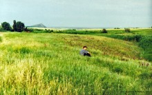 Терриконы на Дону