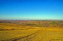 Терриконы на Дону