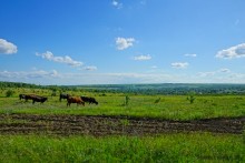 Путешествие по реке Калитве у хуторов Рудаков и Свинарев и поселка Горняцкий