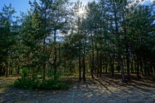 Путешествие по реке Калитве у хуторов Рудаков и Свинарев и поселка Горняцкий