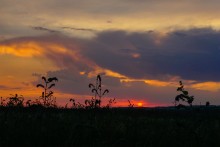 Закат на Тузлове