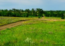 Ползком по земляничным полянам у Осадной горы на Кагальнике