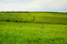 Ползком по земляничным полянам у Осадной горы на Кагальнике