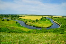 Ползком по земляничным полянам у Осадной горы на Кагальнике