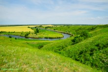 Ползком по земляничным полянам у Осадной горы на Кагальнике