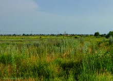 Бывшая школьная полеводческая бригада