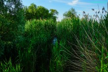 Бывшая школьная полеводческая бригада