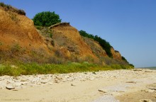 Хутор Рожок 