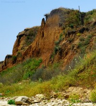 Хутор Рожок 