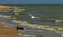 Хутор Рожок 