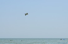 Хутор Рожок 