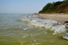 Хутор Рожок 